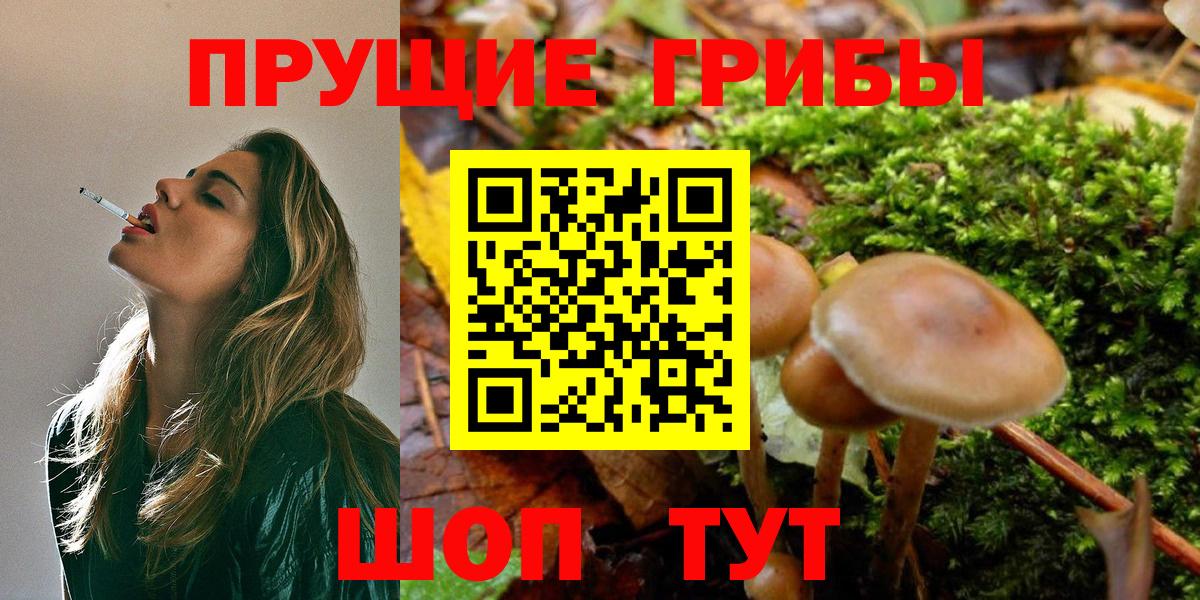 Псилоцибиновые грибы MAGIC MUSHROOMS  Вход с VPN  Люберцы  Галлюциногенные грибы прущие грибы 