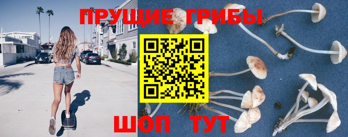 Псилоцибиновые грибы Psilocybe Люберцы